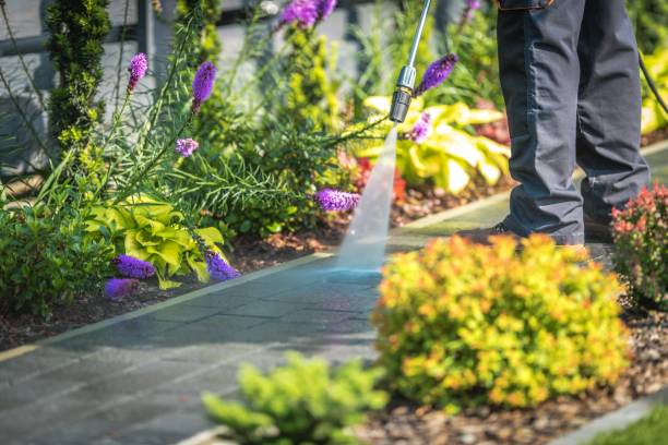 Trusted Westmont, CA  Pressure Washing Services Experts